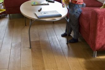 Profi Kompaktöl 360